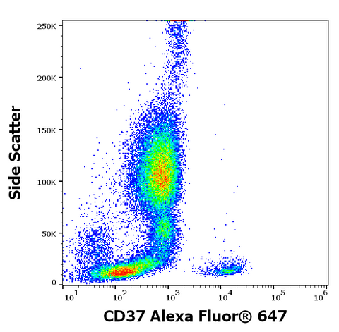 Alexa Fluor<sup>&trade;</sup> 647 Anti-Human CD37 (MB-1)