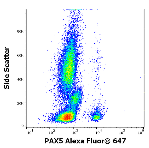 Alexa Fluor<sup>&trade;</sup> 647 Anti-Human/Mouse PAX5 (1H9)