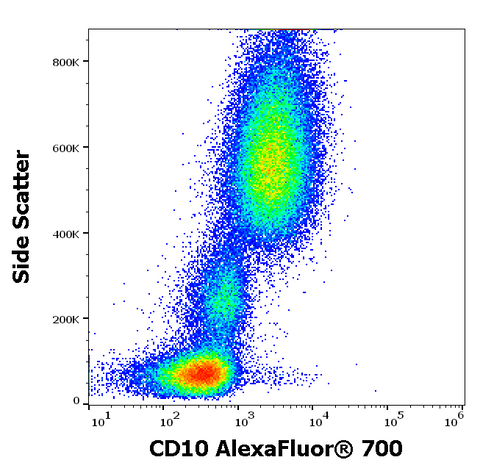 Alexa Fluor<sup>&trade;</sup> 700 Anti-Human CD10 (MEM-78)