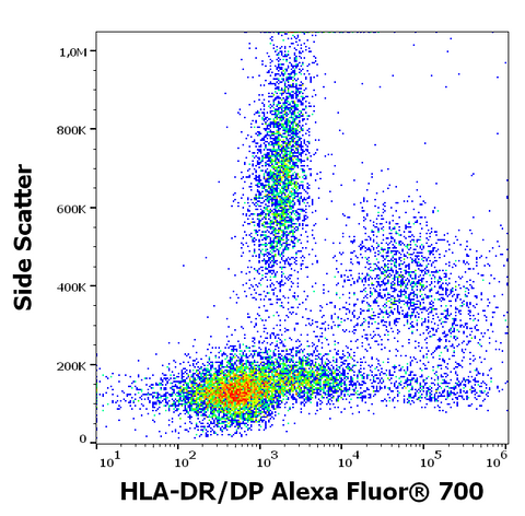 Alexa Fluor<sup>&trade;</sup> 700 Anti-Human MHC Class II (HLA-DR, DP) (MEM-136)