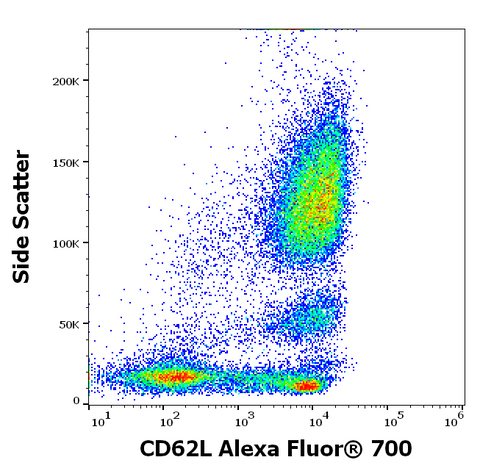 Alexa Fluor<sup>&trade;</sup> 700 Anti-Human CD62L (L-Selectin) (DREG56)