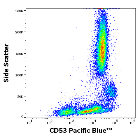 Pacific Blue<sup>&trade;</sup> Anti-Human CD53 (MEM-53)