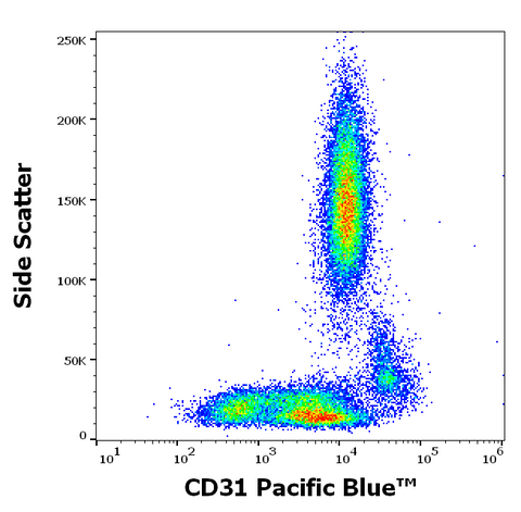 Pacific Blue<sup>&trade;</sup> Anti-Human CD31 (MEM-05)