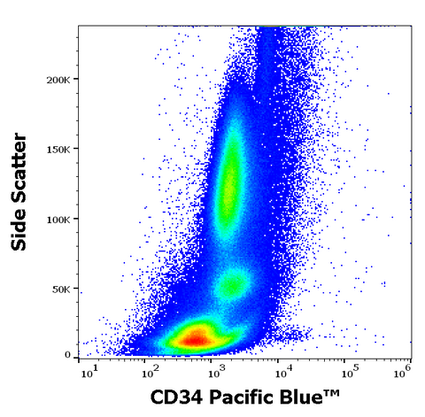 Pacific Blue<sup>&trade;</sup> Anti-Human CD34 (4H11)