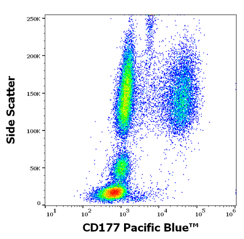 Pacific Blue<sup>&trade;</sup> Anti-Human CD177 (MEM-166)