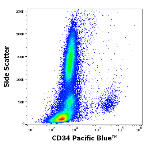 Pacific Blue<sup>&trade;</sup> Anti-Human CD34 (QBEnd/10)