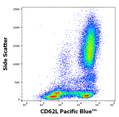 Pacific Blue<sup>&trade;</sup> Anti-Human CD62L (L-Selectin) (DREG56)