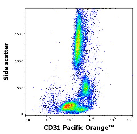 Pacific Orange<sup>&trade;</sup> Anti-Human CD31 (MEM-05)