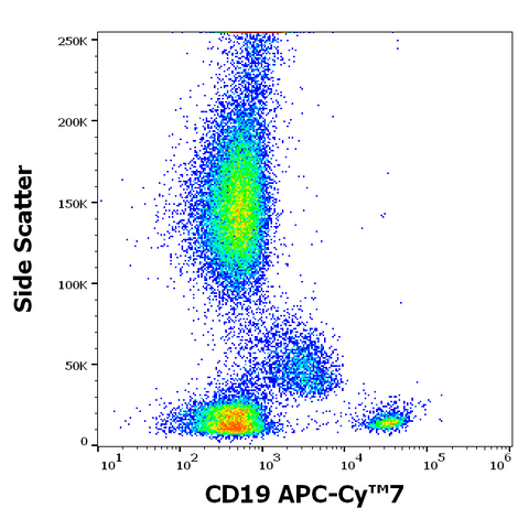 APC-Cyanine7 Anti-Human CD19 (LT19)