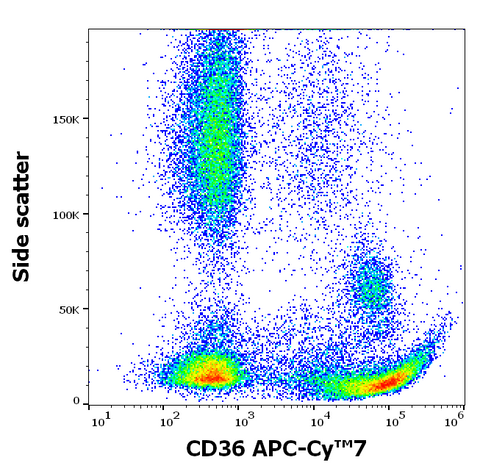 APC-Cyanine7 Anti-Human CD36 (TR9)