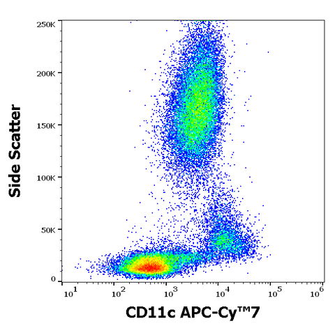 APC-Cyanine7 Anti-Human CD11c (BU15)