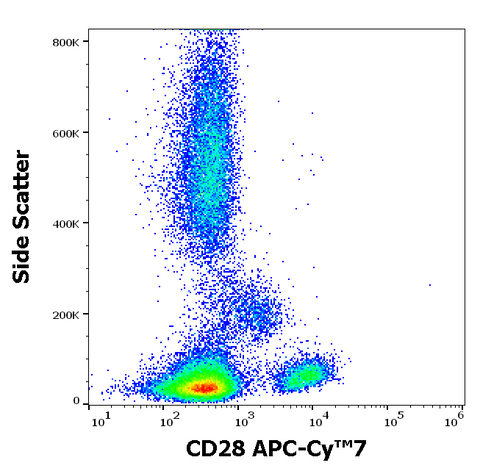 APC-Cyanine7 Anti-Human CD28 (CD28.2)
