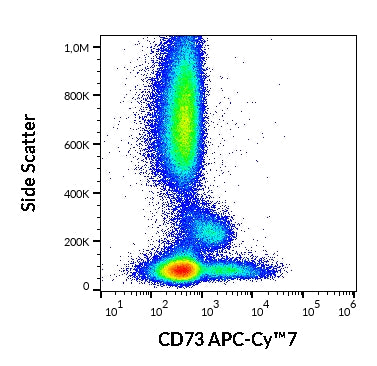 APC-Cyanine7 Anti-Human CD73 (AD2)