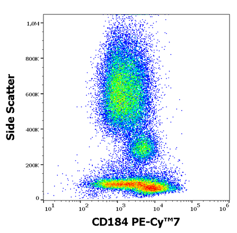 PE-Cyanine7 Anti-Human CD184 (CXCR4) (12G5)
