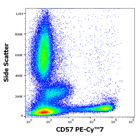 PE-Cyanine7 Anti-Human CD57 (TB01)