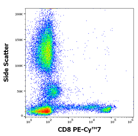 PE-Cyanine7 Anti-Human CD8 (MEM-31)