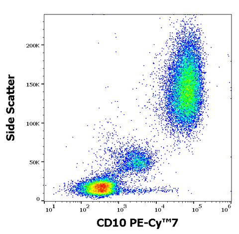 PE-Cyanine7 Anti-Human CD10 (MEM-78)