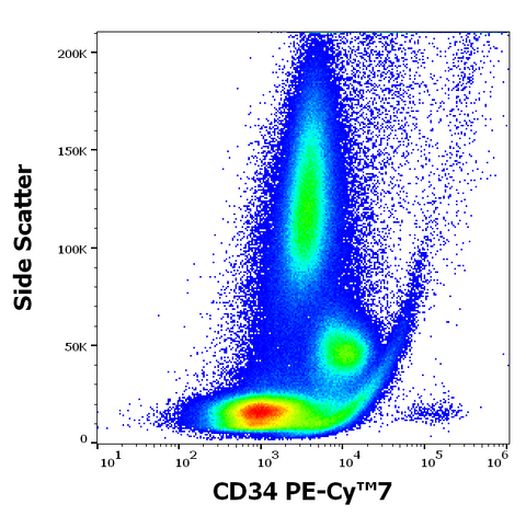 PE-Cyanine7 Anti-Human CD34 (4H11)