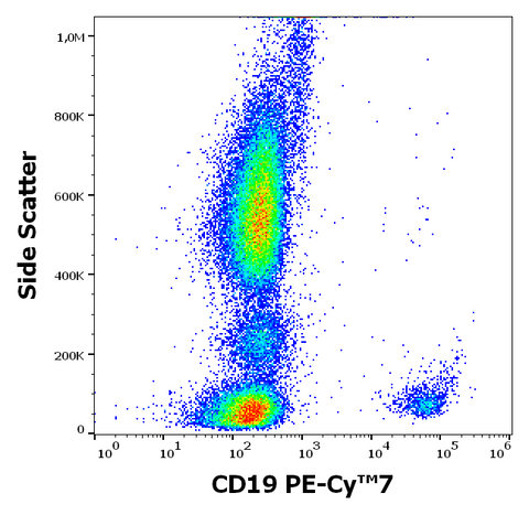 PE-Cyanine7 Anti-Human CD19 (LT19)