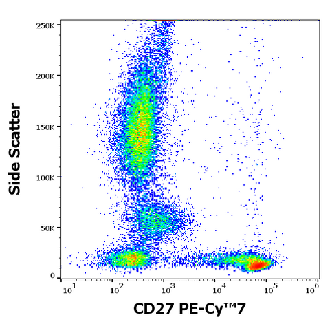 PE-Cyanine7 Anti-Human CD27 (LT27)