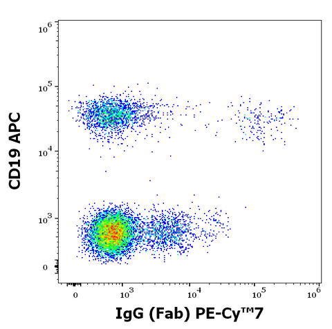 PE-Cyanine7 Anti-Human IgG (4A11)