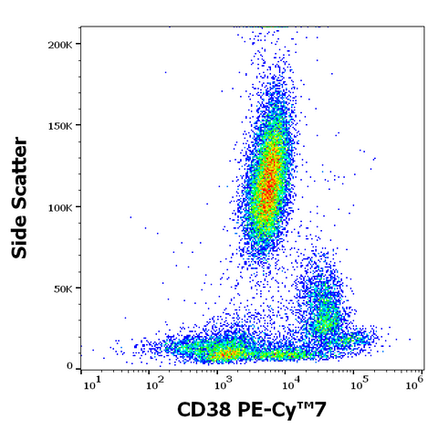 PE-Cyanine7 Anti-Human CD38 (HIT2)