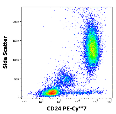 PE-Cyanine7 Anti-Human CD24 (SN3)