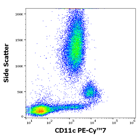 PE-Cyanine7 Anti-Human CD11c (BU15)