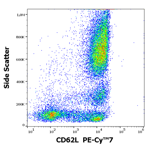 PE-Cyanine7 Anti-Human CD62L (L-Selectin) (DREG56)