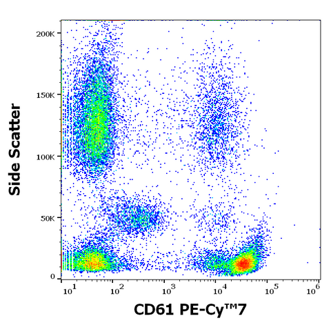 PE-Cyanine7 Anti-Human CD61 (VI-PL2)