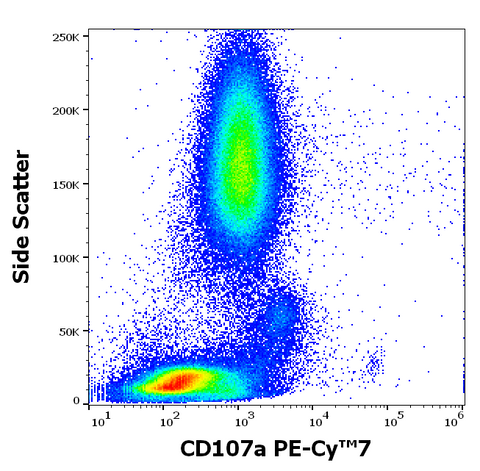 PE-Cyanine7 Anti-Human CD107a (LAMP-1) (H4A3)