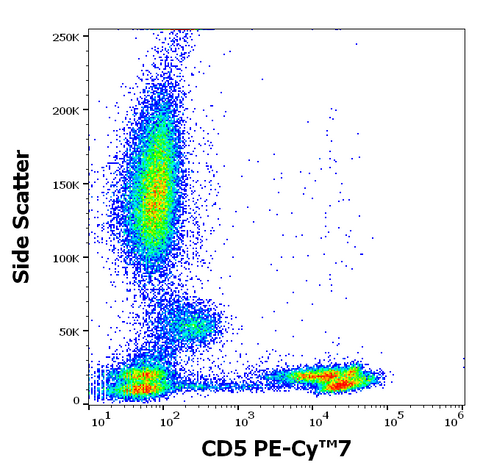 PE-Cyanine7 Anti-Human CD5 (L17F12)