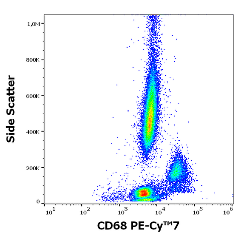 PE-Cyanine7 Anti-Human CD68 (Y1/82A)