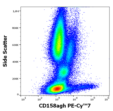 PE-Cyanine7 Anti-Human CD158 (HP-MA4)