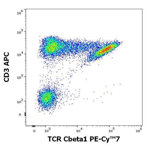 PE-Cyanine7 Anti-Human TCR Cβ1 (JOVI.1)