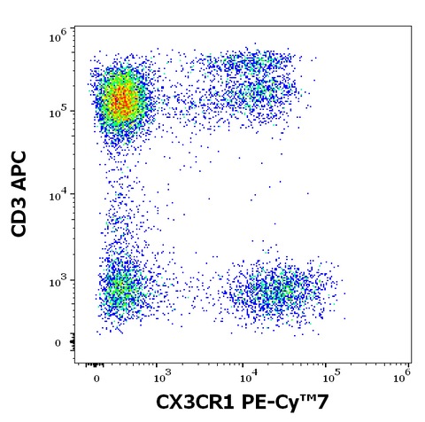 PE-Cyanine7 Anti-Human CX3CR1 (2A9-1)