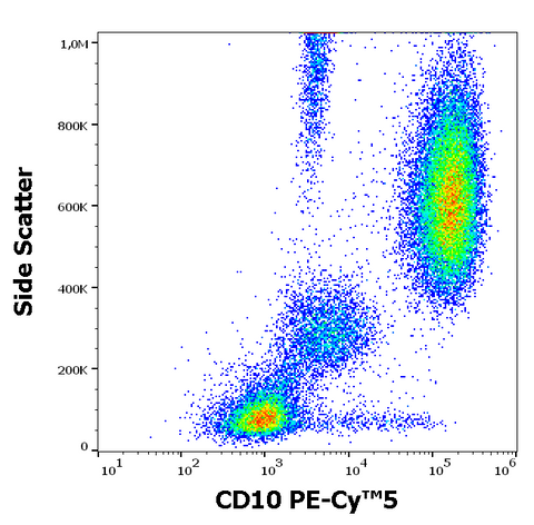 PE-Cyanine5 Anti-Human CD10 (MEM-78)