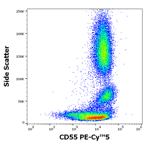 PE-Cyanine5 Anti-Human CD55 (MEM-118)