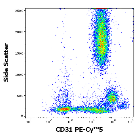 PE-Cyanine5 Anti-Human CD31 (MEM-05)
