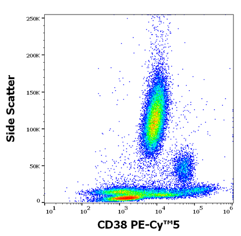 PE-Cyanine5 Anti-Human CD38 (HIT2)