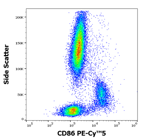 PE-Cyanine5 Anti-Human CD86 (B7-2) (BU63)