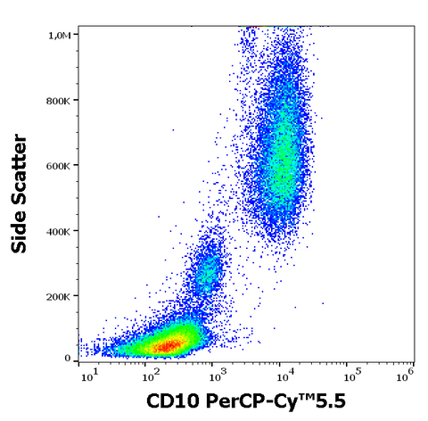 PerCP-Cyanine5.5 Anti-Human CD10 (MEM-78)