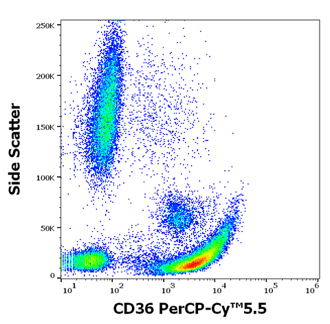 PerCP-Cyanine5.5 Anti-Human CD36 (CB38)