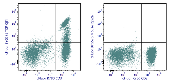 cFluor® BYG575 Anti-Human TCR Cβ1 (JOVI.1) | Cytek Biosciences