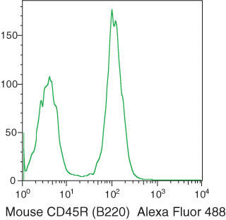 CD45R Monoclonal Antibody (RA3-6B2), Alexa Fluor 488