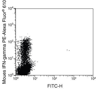IFN gamma Monoclonal Antibody (XMG1.2), PE-Alexa Fluor 610