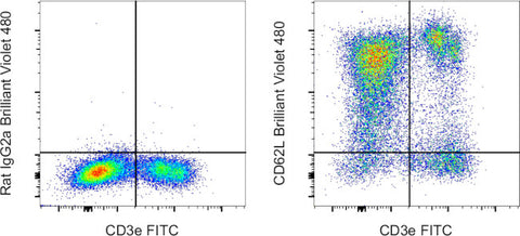 CD62L (L-Selectin) Monoclonal Antibody (MEL-14), Brilliant Violet 480, eBioscience