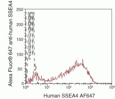 SSEA4 Monoclonal Antibody (MC-813-70), Alexa Fluor 647