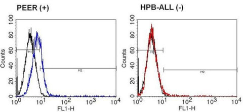 TCR delta Monoclonal Antibody (TS-1), FITC