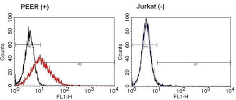 TCR gamma/delta Monoclonal Antibody (5A6.E9)